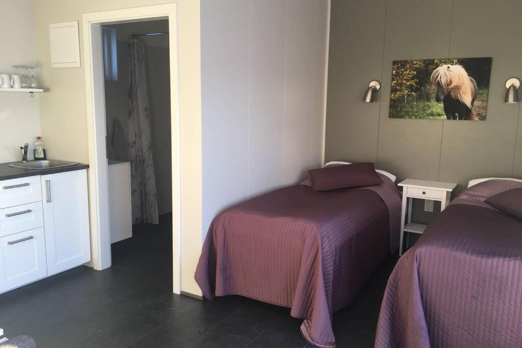 Stryta Apartment 3 Olfus Dış mekan fotoğraf