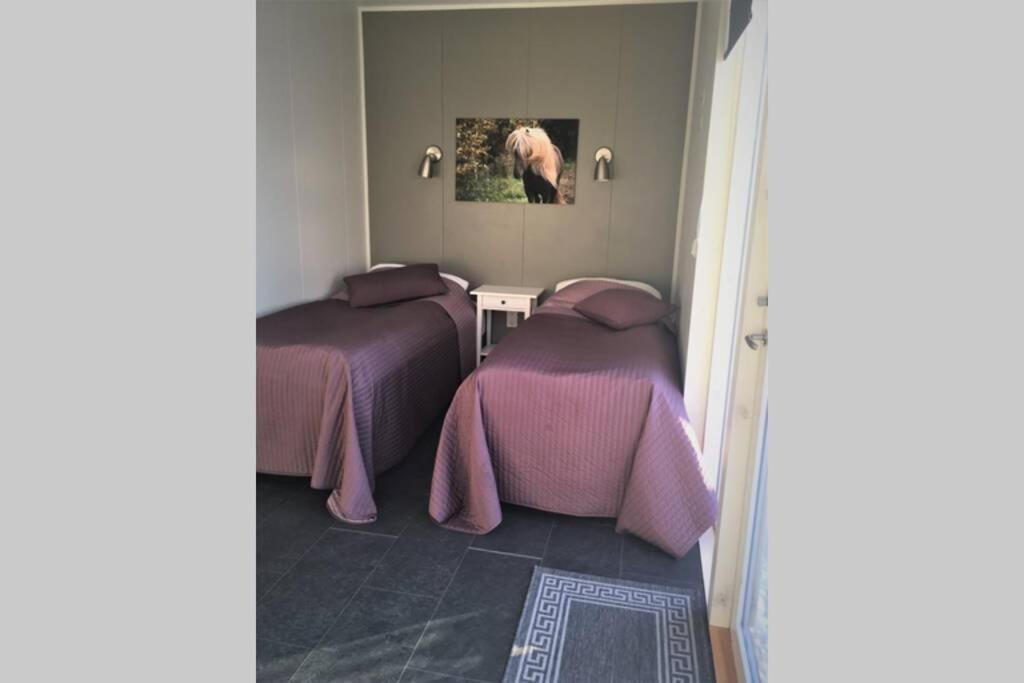 Stryta Apartment 3 Olfus Dış mekan fotoğraf